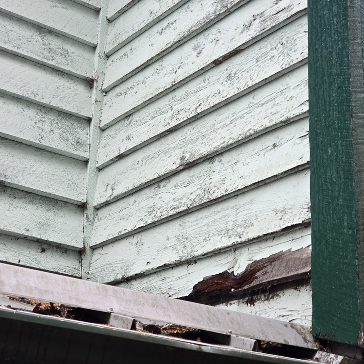 Painting and drywall services in Kodiak, AK
