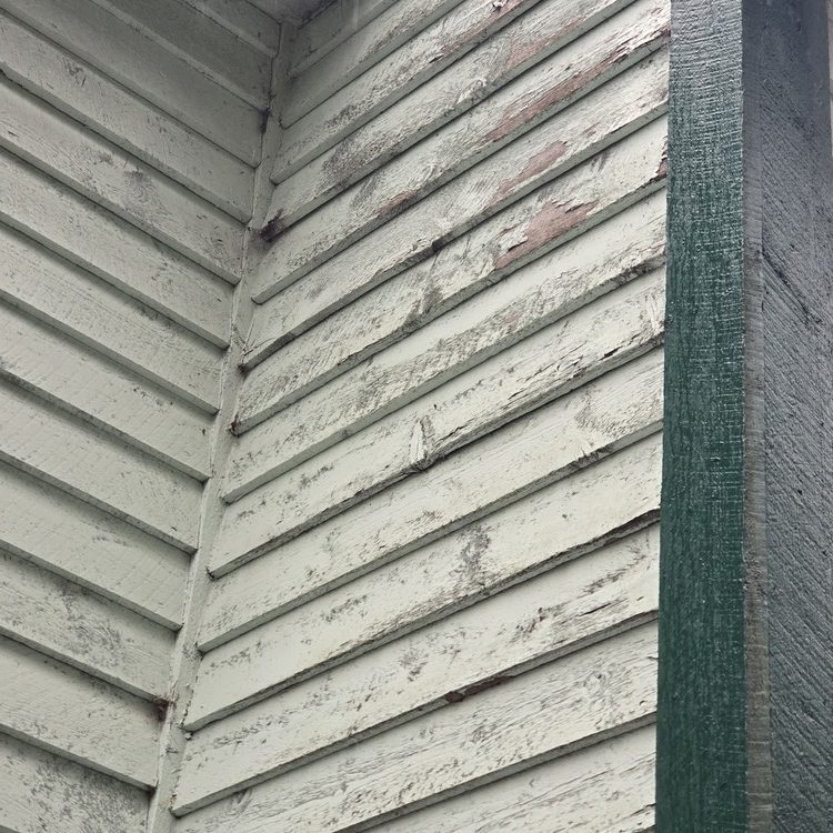 Painting and drywall services in Kodiak, AK